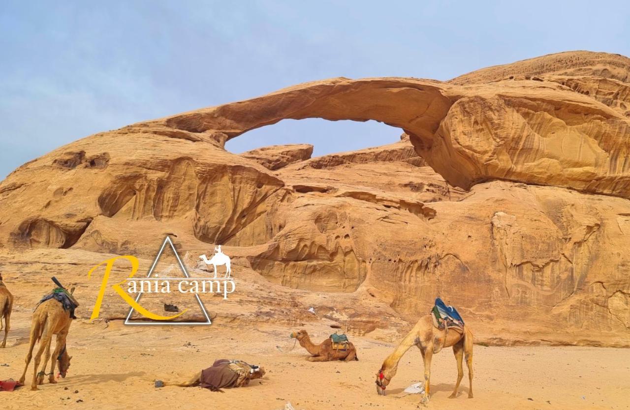 Wadi Rum,Rania Camp Екстер'єр фото