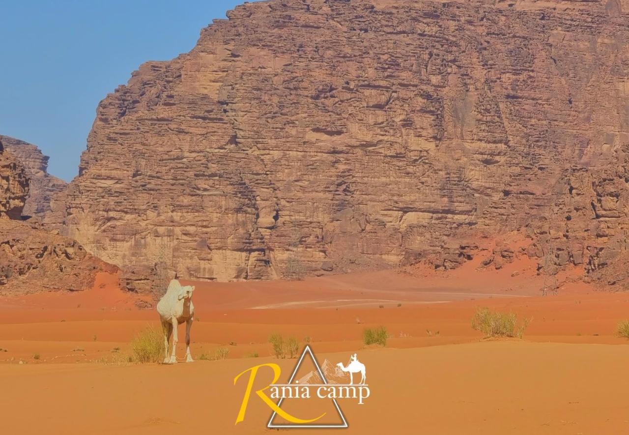 Wadi Rum,Rania Camp Екстер'єр фото