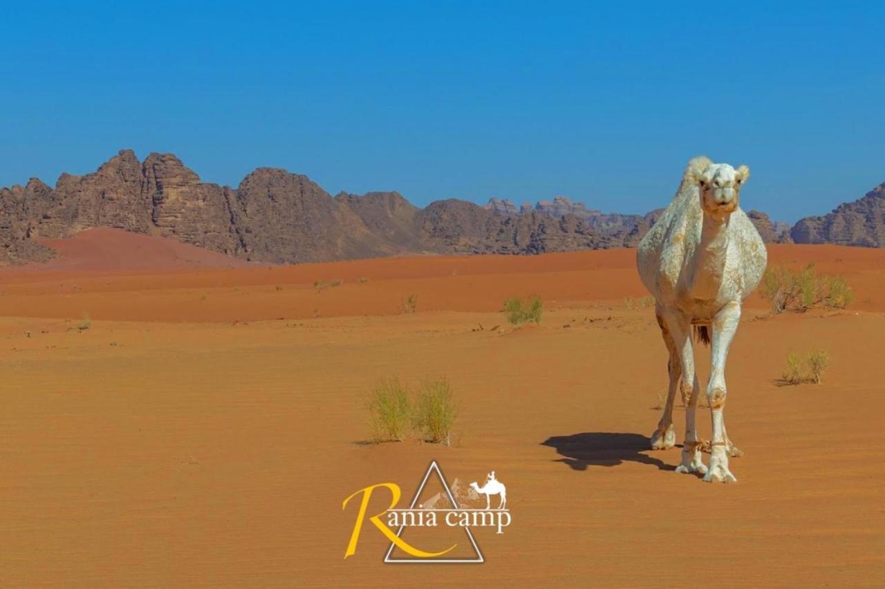 Wadi Rum,Rania Camp Екстер'єр фото